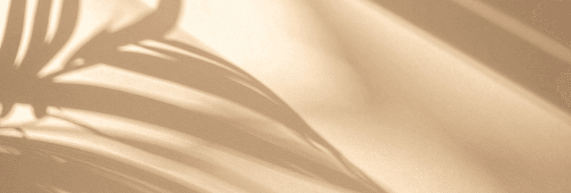 Banner Content Background
